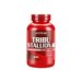 Activlab Tribu Stallion 2000 mg, 60 Capsule